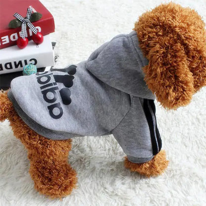 Cozy and Chic: Pet Sweatshirt