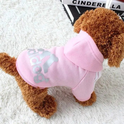 Cozy and Chic: Pet Sweatshirt