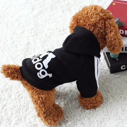 Cozy and Chic: Pet Sweatshirt