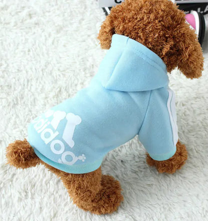 Cozy and Chic: Pet Sweatshirt