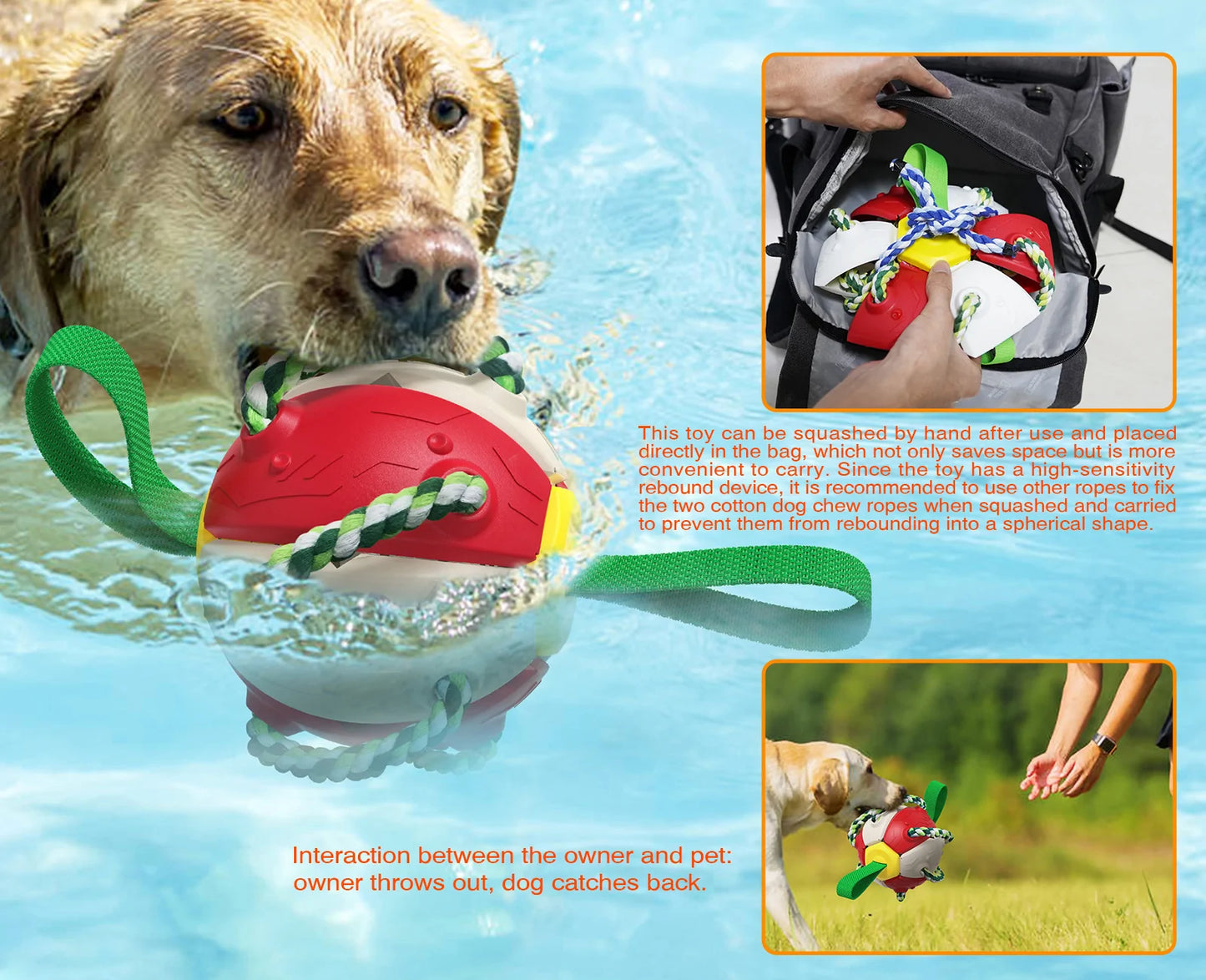 Ultimate Fun and Engagement: Rebound Frisbee Ball Interactive Dog Toy