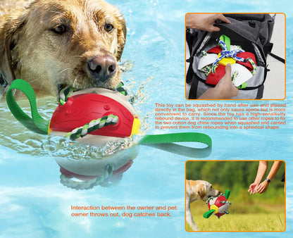 Ultimate Fun and Engagement: Rebound Frisbee Ball Interactive Dog Toy