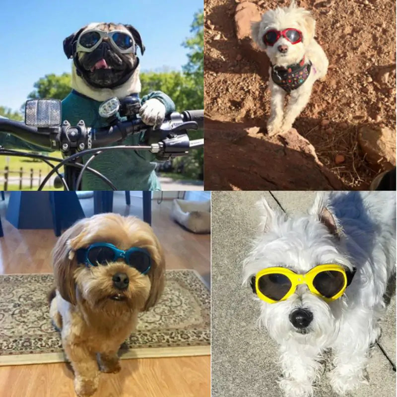 Keep Your Pup Stylish and Protected: Dog Sunglasses