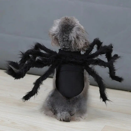 Creepy Crawly Fun: Spider Costume for Pets