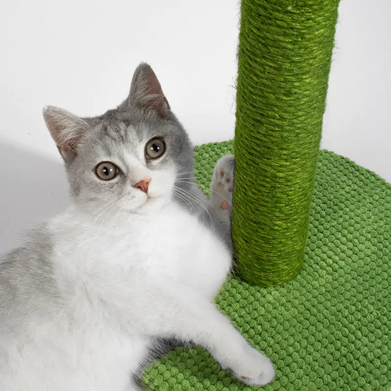 Protect Your Furniture: Interactive Cat Scratching Post!