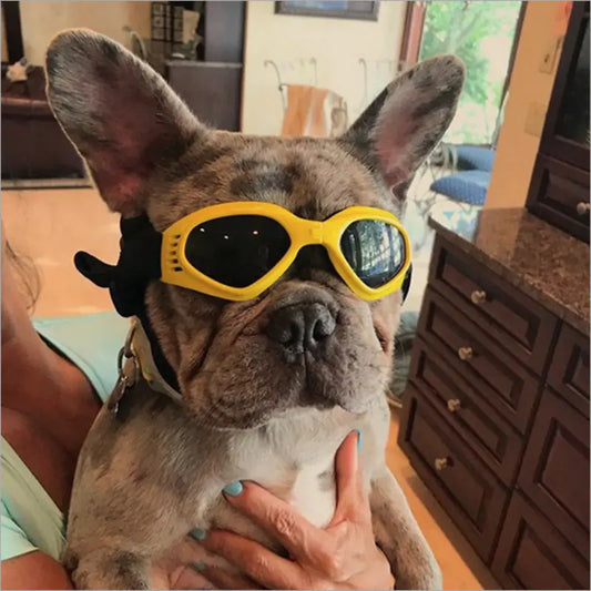 Keep Your Pup Stylish and Protected: Dog Sunglasses