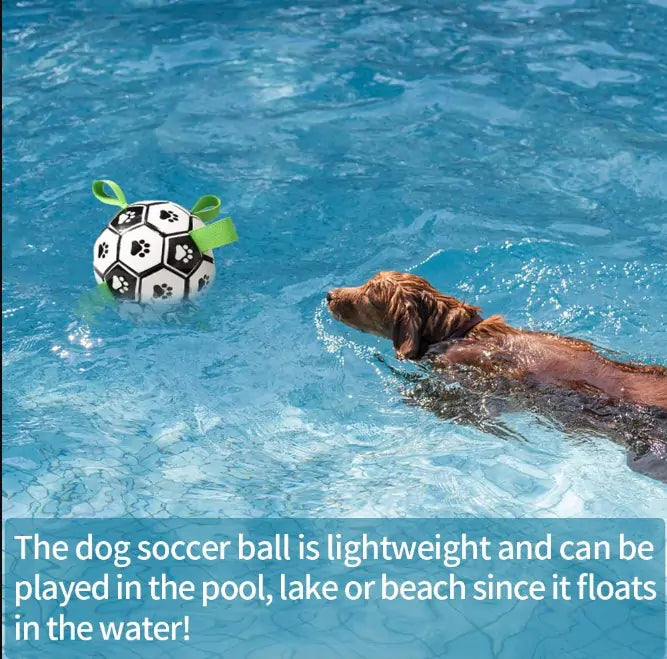 Premium Interactive Dog Soccer Ball: Safe, Durable, and Fun!