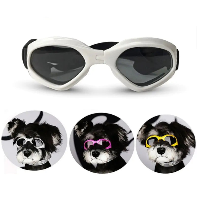 Keep Your Pup Stylish and Protected: Dog Sunglasses