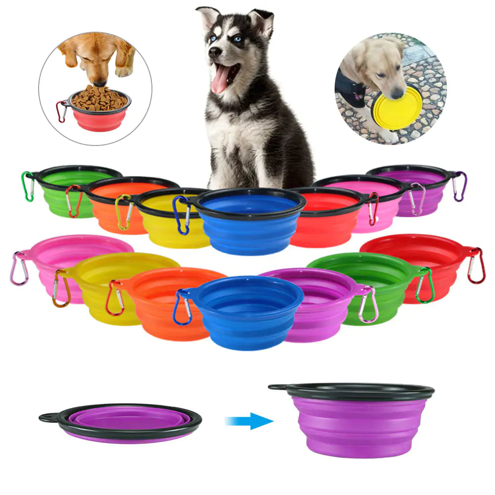 Vibrant Travel Companion: Colorful Collapsible Pet Bowl!