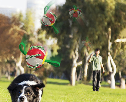 Ultimate Fun and Engagement: Rebound Frisbee Ball Interactive Dog Toy