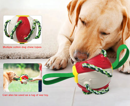 Ultimate Fun and Engagement: Rebound Frisbee Ball Interactive Dog Toy