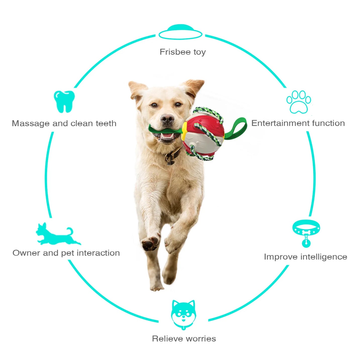 Ultimate Fun and Engagement: Rebound Frisbee Ball Interactive Dog Toy