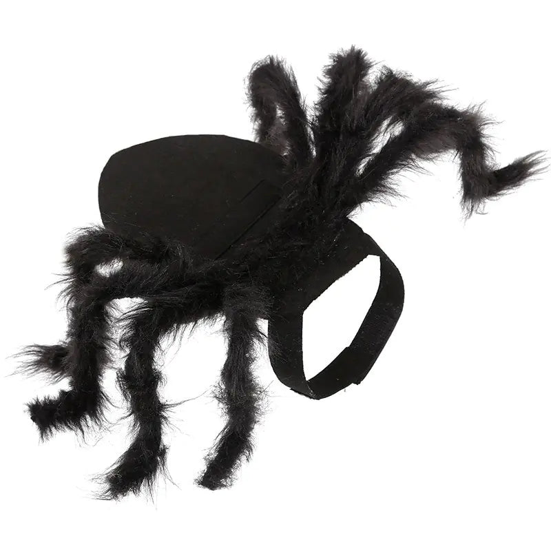 Creepy Crawly Fun: Spider Costume for Pets