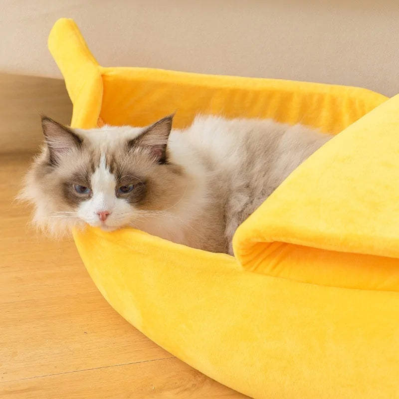 Keep Your Kitty Cozy: Banana Cat Bed!