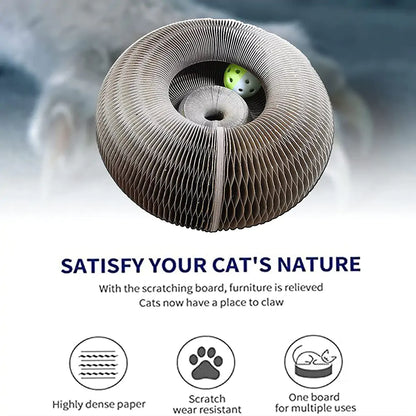 Keep Your Furniture Safe: 2-in-1 Cat Scratcher!