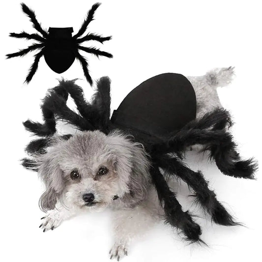 Creepy Crawly Fun: Spider Costume for Pets