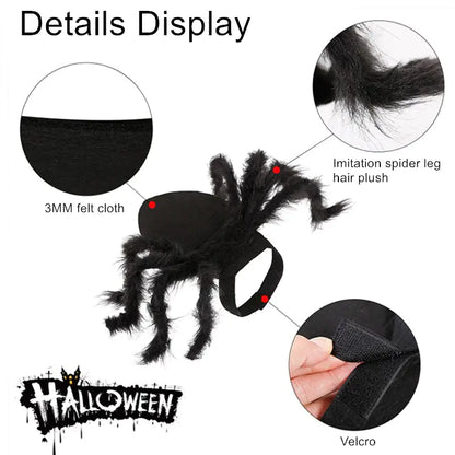 Creepy Crawly Fun: Spider Costume for Pets