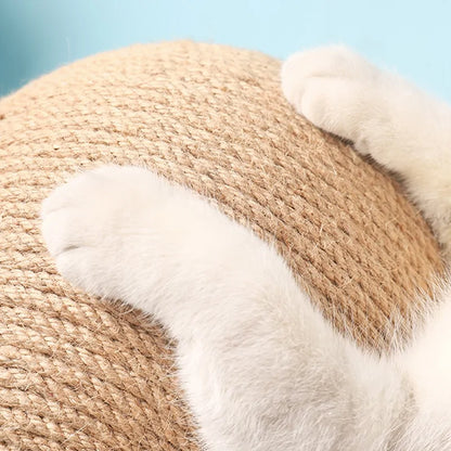 Protect Your Furniture: Interactive Cat Scratching Ball!