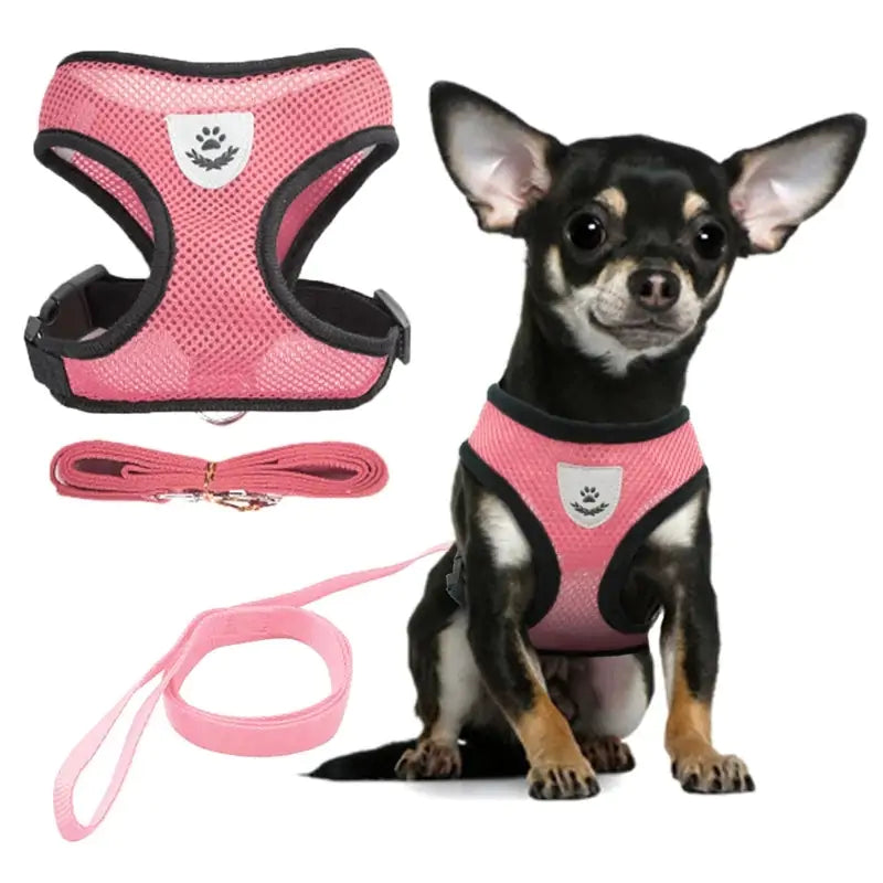 Breathable 100% Polyester Adjustable Vest Pet Harness