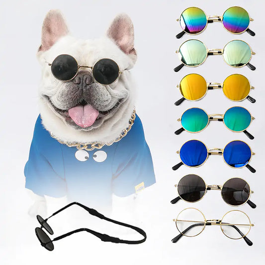 Stay Cool in the Sun: Pet Sunglasses